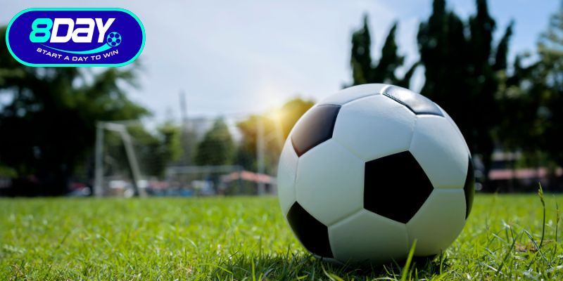 Khám phá thiên đường thể thao 8day đẳng cấp