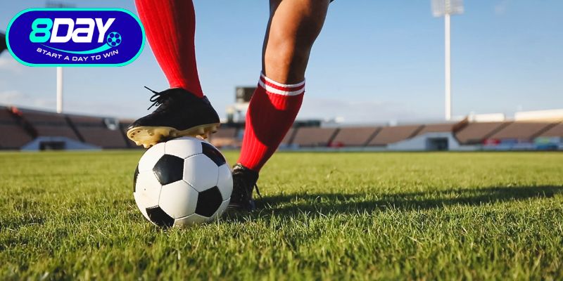 Nghiên cứu kiến thức về cách đọc kèo châu Âu