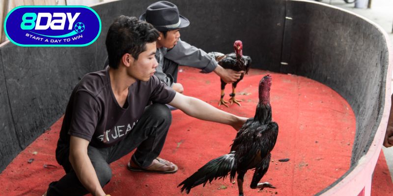 Những lợi ích vượt trội tại sân chơi