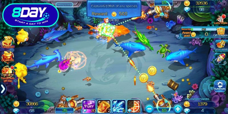 Phương pháp săn cá mang lại hiệu quả cao